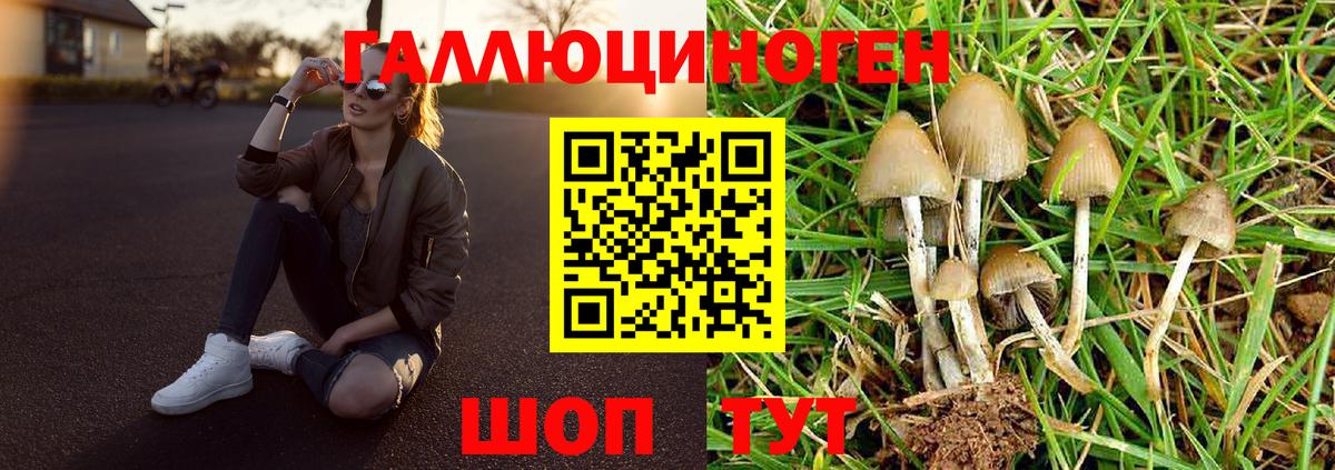 Фролово  Псилоцибиновые грибы мухоморы  Псилоцибиновые грибы ЛСД  Вход с VPN 